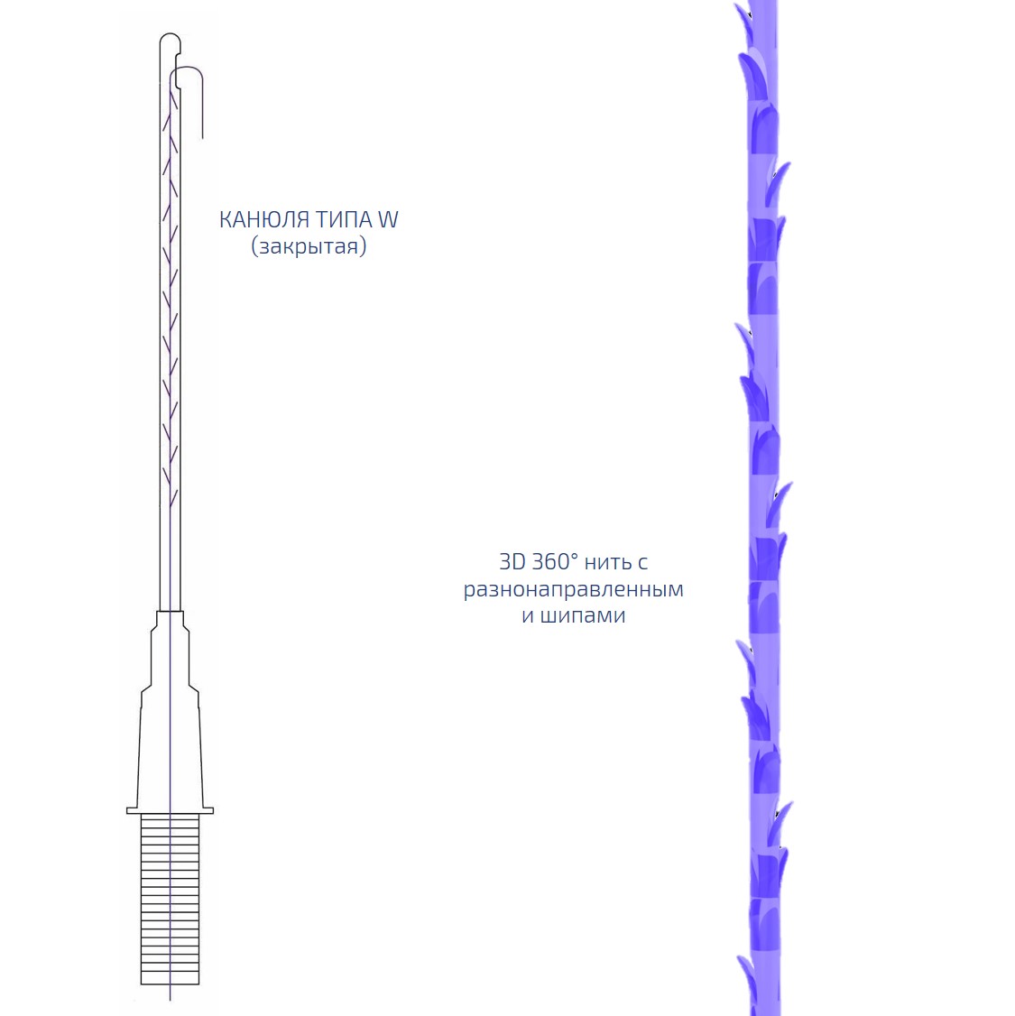 Нить из полидиоксанона шипованная на W-образной канюле FE / Cog Pro II (Cannula май 2027  УП